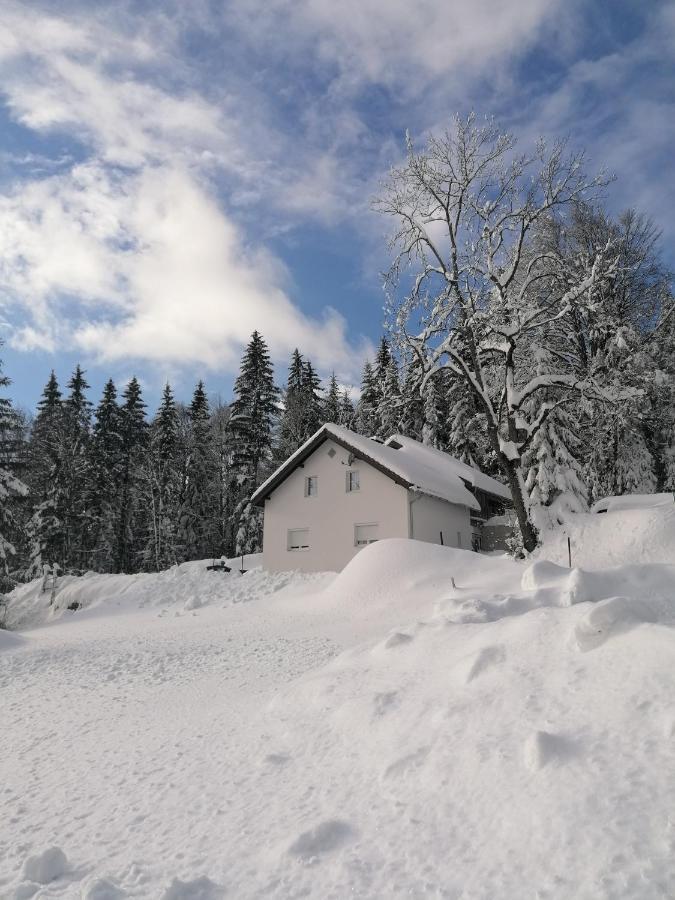 Ferienhaus Ploeckenstein Schwarzenberg am Bohmerwald Экстерьер фото