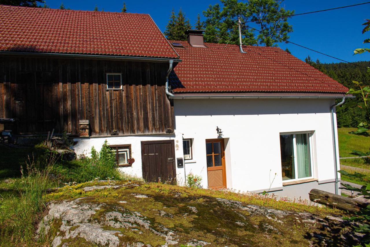 Ferienhaus Ploeckenstein Schwarzenberg am Bohmerwald Экстерьер фото