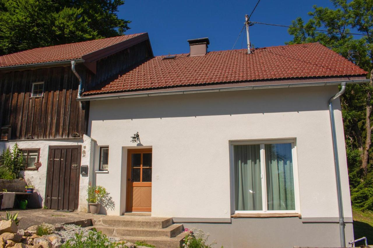 Ferienhaus Ploeckenstein Schwarzenberg am Bohmerwald Экстерьер фото