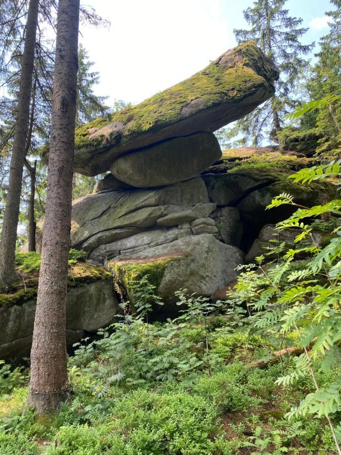 Ferienhaus Ploeckenstein Schwarzenberg am Bohmerwald Экстерьер фото
